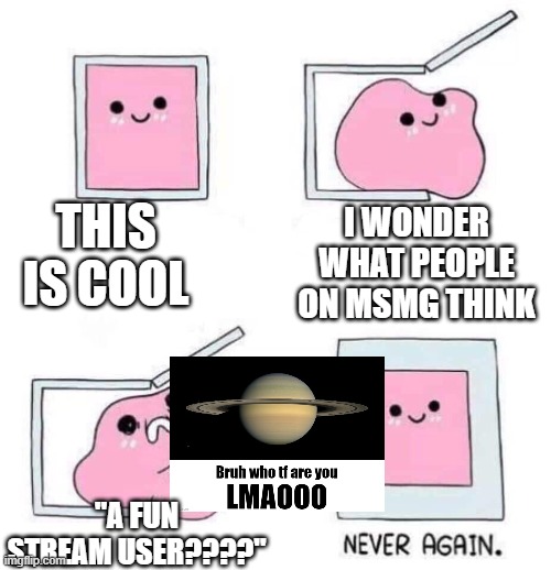Never again | THIS IS COOL; I WONDER WHAT PEOPLE ON MSMG THINK; "A FUN STREAM USER????" | image tagged in never again | made w/ Imgflip meme maker