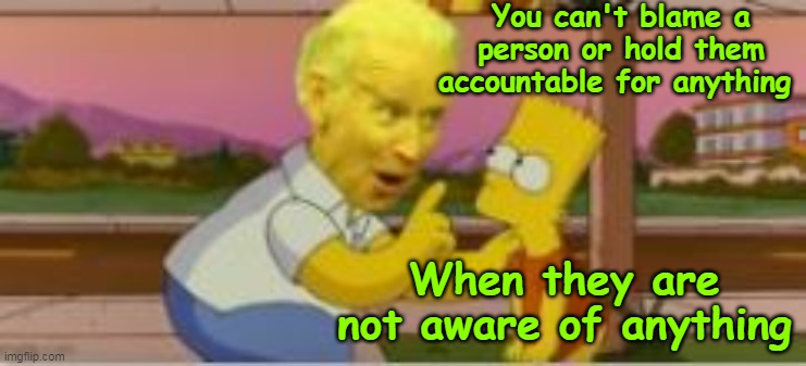 Sage advice from the guy that gave box of rocks a bad name | You can't blame a person or hold them accountable for anything; When they are not aware of anything | image tagged in biden accountable unaware meme | made w/ Imgflip meme maker