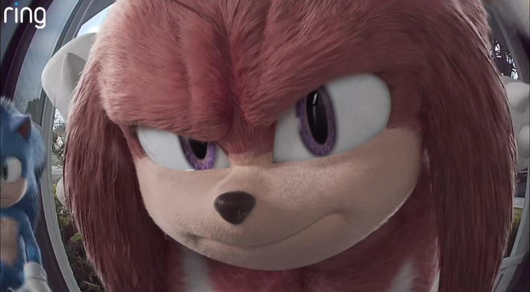 Knuckles doorbell cam Blank Meme Template