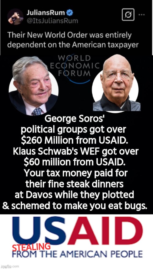 NWO was funded by USAID tax dollars | image tagged in usaid stealing logo,soros,nwo | made w/ Imgflip meme maker