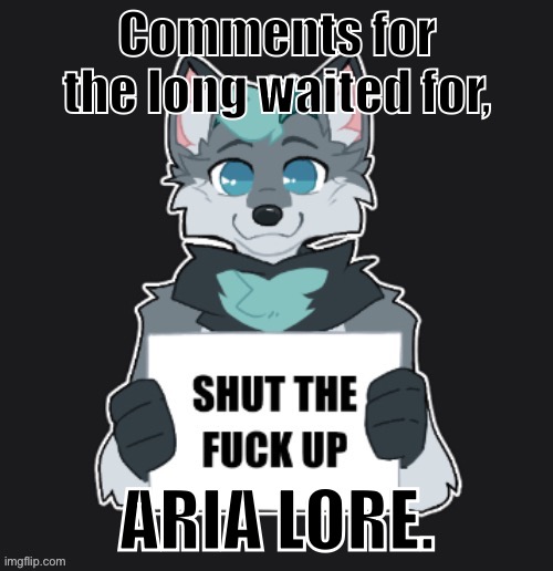 STFU | Comments for the long waited for, ARIA LORE. | image tagged in stfu | made w/ Imgflip meme maker