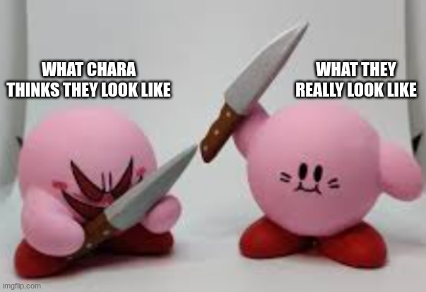 undertale bru | WHAT CHARA THINKS THEY LOOK LIKE; WHAT THEY REALLY LOOK LIKE | image tagged in undertale,kirby | made w/ Imgflip meme maker