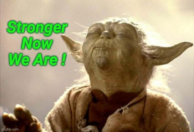 Bushs Nor Bidens EVER AGAIN ! | Stronger Now We Are ! | image tagged in yoda smell,political meme,politics,funny memes,funny | made w/ Imgflip meme maker