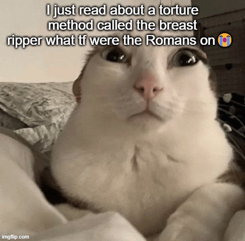 goober | I just read about a torture method called the breast ripper what tf were the Romans on😭 | image tagged in goober | made w/ Imgflip meme maker