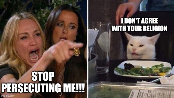 Angry lady cat | STOP PERSECUTING ME!!! I DON'T AGREE WITH YOUR RELIGION | image tagged in angry lady cat | made w/ Imgflip meme maker