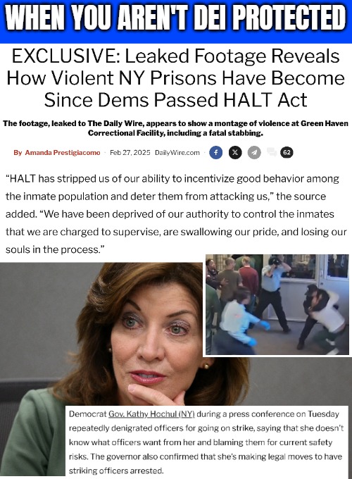 Democrats cities be like...15,000 Prison guards on strike since February 17. 380 taken in | WHEN YOU AREN'T DEI PROTECTED | image tagged in democrats,new york,crime,strike | made w/ Imgflip meme maker