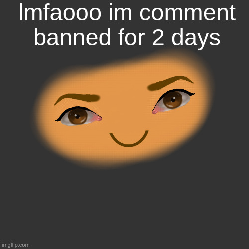 Oh My Goodness Gracious | lmfaooo im comment banned for 2 days | image tagged in oh my goodness gracious | made w/ Imgflip meme maker