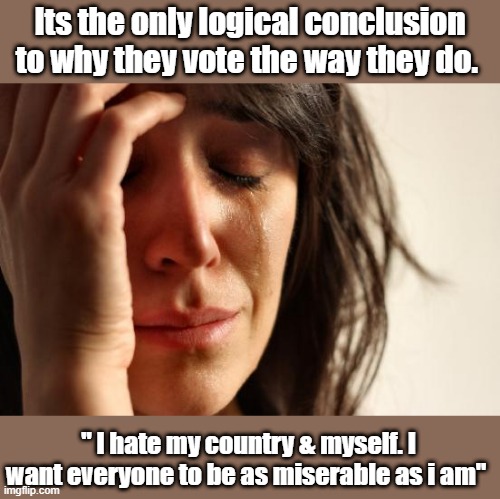 First World Problems Meme | Its the only logical conclusion to why they vote the way they do. " I hate my country & myself. I want everyone to be as miserable as i am" | image tagged in memes,first world problems | made w/ Imgflip meme maker