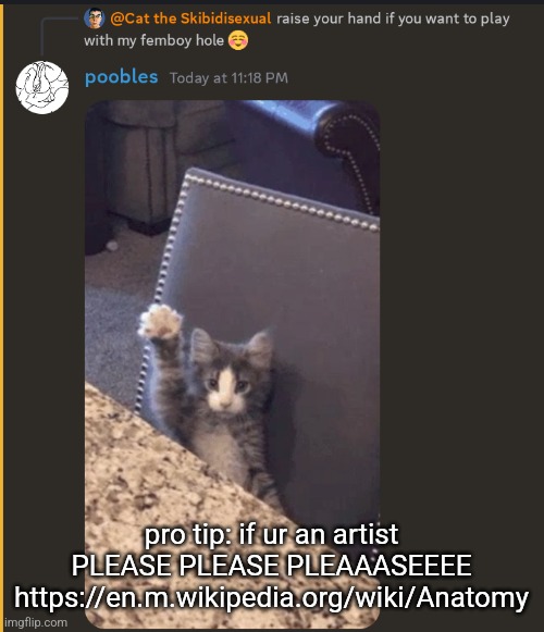 @Nat @IcyXD | pro tip: if ur an artist PLEASE PLEASE PLEAAASEEEE https://en.m.wikipedia.org/wiki/Anatomy | image tagged in freak mode activated | made w/ Imgflip meme maker