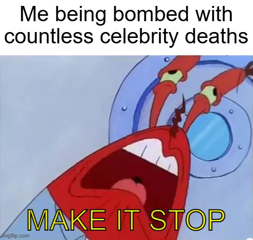 The celebrity massacre of the 2020s continues and shows 0 sign of slowing down | Me being bombed with countless celebrity deaths; MAKE IT STOP | image tagged in make it stop | made w/ Imgflip meme maker