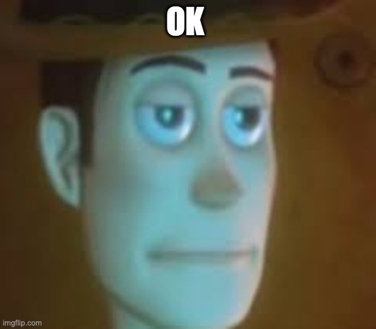 dissapointed woody | OK | image tagged in dissapointed woody | made w/ Imgflip meme maker