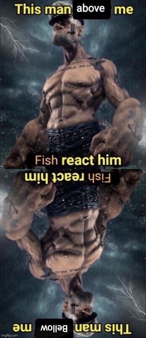 Super Fish react | image tagged in super fish react | made w/ Imgflip meme maker