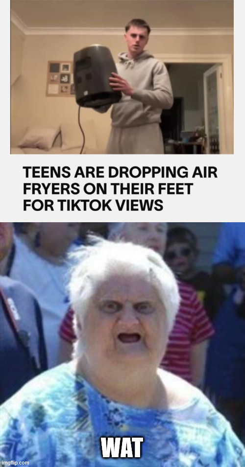 Their brain must be fryed | WAT | image tagged in wat lady,air fryer,tiktok,tiktok sucks,wtf | made w/ Imgflip meme maker