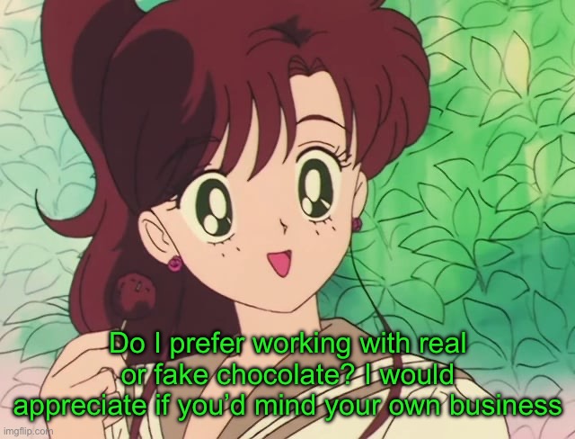 Do I prefer working with real or fake chocolate? I would appreciate if you’d mind your own business | image tagged in sailor moon,sailor jupiter,memes,novympia,shitpost | made w/ Imgflip meme maker