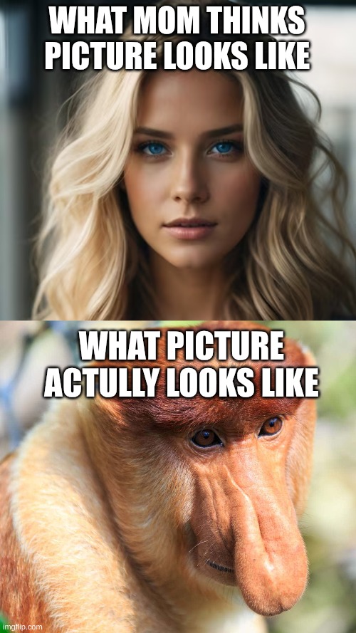 image | WHAT MOM THINKS PICTURE LOOKS LIKE; WHAT PICTURE ACTULLY LOOKS LIKE | image tagged in crazy,picture punches | made w/ Imgflip meme maker