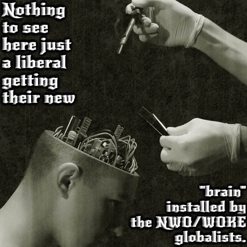 Their New "Brains" | Nothing to see here just a liberal getting their new; "brain" installed by the NWO/WOKE globalists. | image tagged in conservative,stupid liberals,leftists,brainwashed,nwo,woke | made w/ Imgflip meme maker