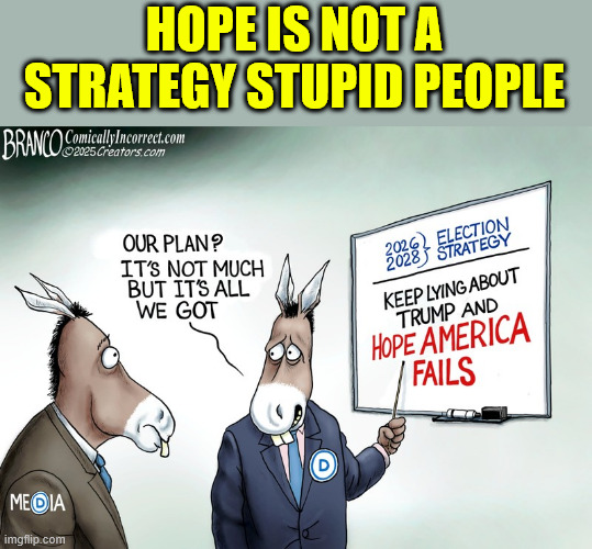 HOPE IS NOT A STRATEGY STUPID PEOPLE | made w/ Imgflip meme maker