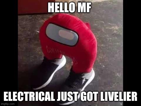 sorry i lost my flip flops | HELLO MF ELECTRICAL JUST GOT LIVELIER | image tagged in sorry i lost my flip flops | made w/ Imgflip meme maker