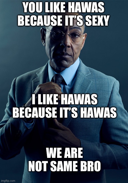 Gus Fring we are not the same | YOU LIKE HAWAS BECAUSE IT’S SEXY; I LIKE HAWAS BECAUSE IT’S HAWAS; WE ARE NOT SAME BRO | image tagged in gus fring we are not the same | made w/ Imgflip meme maker