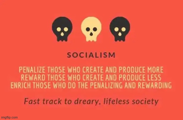 NOT a Good Thing | image tagged in socialism,democratic socialism,bad news,mediocrity,dumb people,coincidence i think not | made w/ Imgflip meme maker