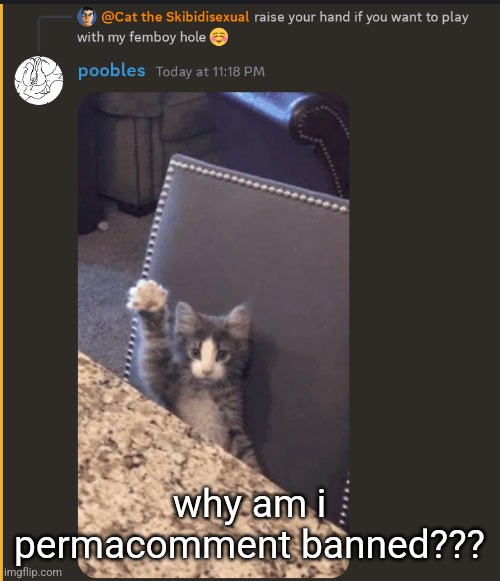 freak mode activated | why am i permacomment banned??? | image tagged in freak mode activated | made w/ Imgflip meme maker