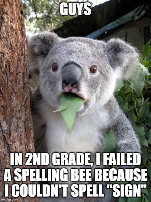 unbelievable | GUYS; IN 2ND GRADE, I FAILED A SPELLING BEE BECAUSE I COULDN'T SPELL "SIGN" | image tagged in memes,surprised koala | made w/ Imgflip meme maker