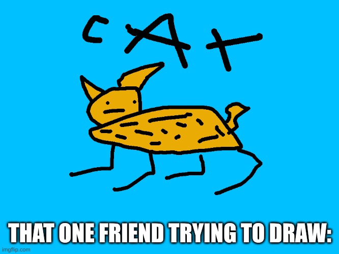 That One Guy: | THAT ONE FRIEND TRYING TO DRAW: | image tagged in cat,bad memes,oh wow are you actually reading these tags | made w/ Imgflip meme maker