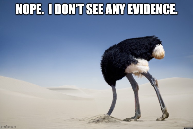 Ostrich head in sand | NOPE.  I DON'T SEE ANY EVIDENCE. | image tagged in ostrich head in sand | made w/ Imgflip meme maker