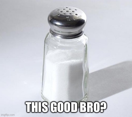 salt shaker | THIS GOOD BRO? | image tagged in salt shaker | made w/ Imgflip meme maker