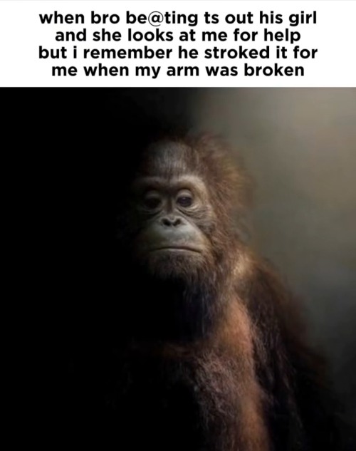 Imgflip Imgflip