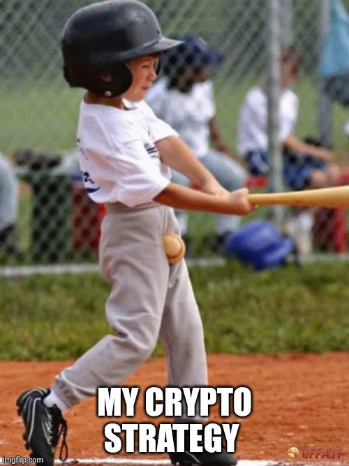 Baseball To The Nuts | MY CRYPTO STRATEGY | image tagged in baseball to the nuts | made w/ Imgflip meme maker