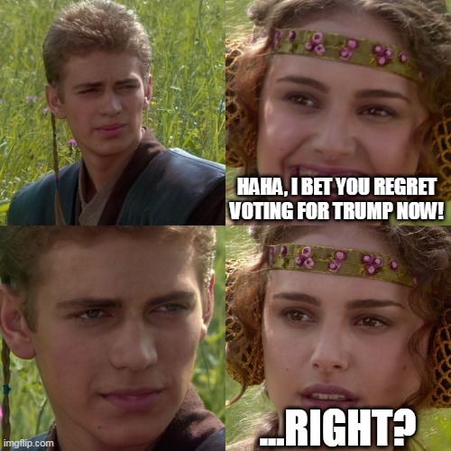 You do...don't you? | HAHA, I BET YOU REGRET VOTING FOR TRUMP NOW! ...RIGHT? | image tagged in anakin padme 4 panel,donald trump,trump,regret,voting,politics | made w/ Imgflip meme maker