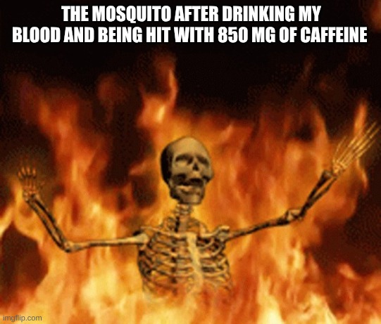 Mosquito | THE MOSQUITO AFTER DRINKING MY BLOOD AND BEING HIT WITH 850 MG OF CAFFEINE | image tagged in skeleton burning in hell,mosquito,caffeine,blood,meme,say goodbye | made w/ Imgflip meme maker