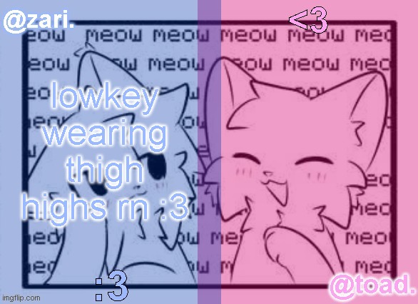 zari and toad's shared temp <3 | lowkey wearing thigh highs rn :3 | image tagged in zari and toad's shared temp 3 | made w/ Imgflip meme maker