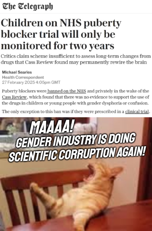 While at least most of Scandinavia had restricted or banned it few years earlier, after a Swedish study | MAAAA! GENDER INDUSTRY IS DOING 
SCIENTIFIC CORRUPTION AGAIN! | image tagged in maaaa cat,identity politics,funny,science,uk | made w/ Imgflip meme maker