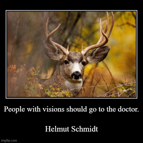 ¦¦¦¦¦ | People with visions should go to the doctor. | Helmut Schmidt | image tagged in it's sarte | made w/ Imgflip demotivational maker