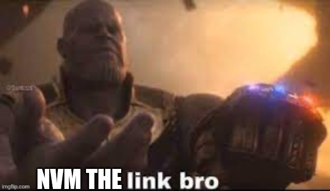 link bro | NVM THE | image tagged in link bro | made w/ Imgflip meme maker