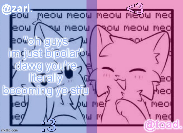 zari and toad's shared temp <3 | "oh guys im just bipolar" dawg you're literally becoming ye stfu | image tagged in zari and toad's shared temp 3 | made w/ Imgflip meme maker