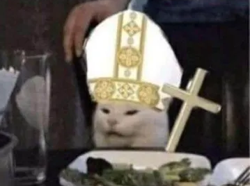 Heresy Cat Blank Meme Template