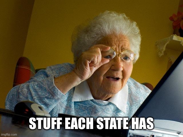 Grandma Finds The Internet | STUFF EACH STATE HAS | image tagged in memes,grandma finds the internet | made w/ Imgflip meme maker