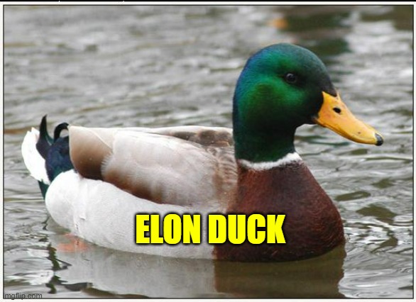 Actual Advice Mallard Meme | ELON DUCK | image tagged in memes,actual advice mallard | made w/ Imgflip meme maker