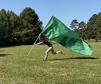 Green Flag Guy Blank Meme Template