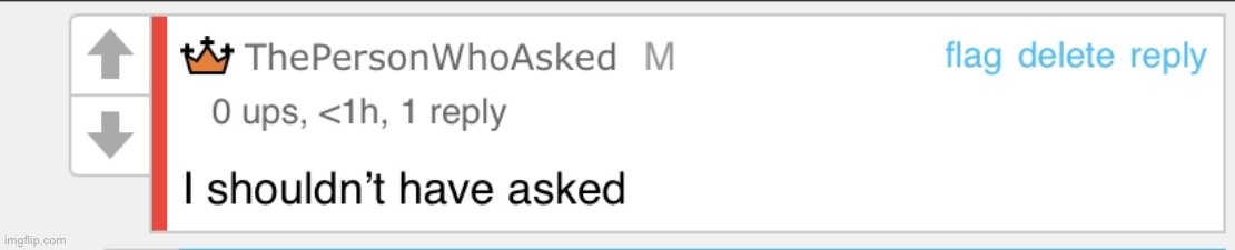 I shouldn’t have asked | image tagged in i shouldn t have asked | made w/ Imgflip meme maker