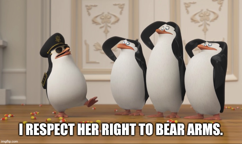 Saluting skipper | I RESPECT HER RIGHT TO BEAR ARMS. | image tagged in saluting skipper | made w/ Imgflip meme maker