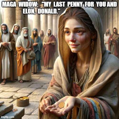 MAGA Widow | MAGA  WIDOW:   "MY  LAST  PENNY  FOR  YOU AND  ELON,  DONALD." | image tagged in donald trump | made w/ Imgflip meme maker