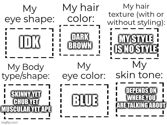 What do I look like template | DARK BROWN; MY STYLE IS NO STYLE; IDK; DEPENDS ON WHERE YOU ARE TALKING ABOUT; BLUE; SKINNY YET CHUB YET MUSCULAR YET APE | image tagged in what do i look like template | made w/ Imgflip meme maker