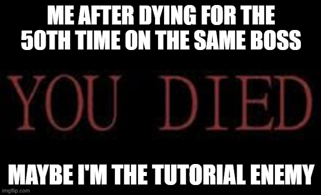 its true | ME AFTER DYING FOR THE 50TH TIME ON THE SAME BOSS; MAYBE I'M THE TUTORIAL ENEMY | image tagged in idk | made w/ Imgflip meme maker