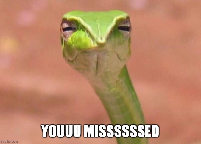 Skeptical snake | YOUUU MISSSSSSED | image tagged in skeptical snake | made w/ Imgflip meme maker