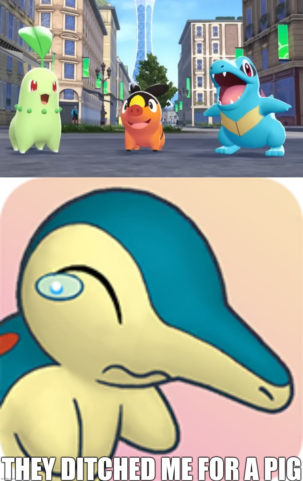 Ditched for a pig | THEY DITCHED ME FOR A PIG | image tagged in pokemon,cyndaquil,ditched | made w/ Imgflip meme maker