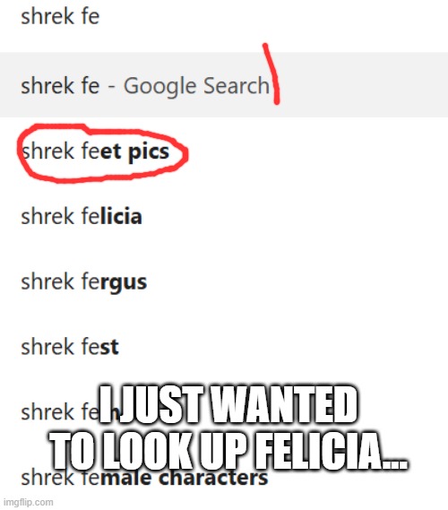 (idk if this counts as a cursed image if not sorry) | I JUST WANTED TO LOOK UP FELICIA... | image tagged in feet,shrek,ayo,nah | made w/ Imgflip meme maker